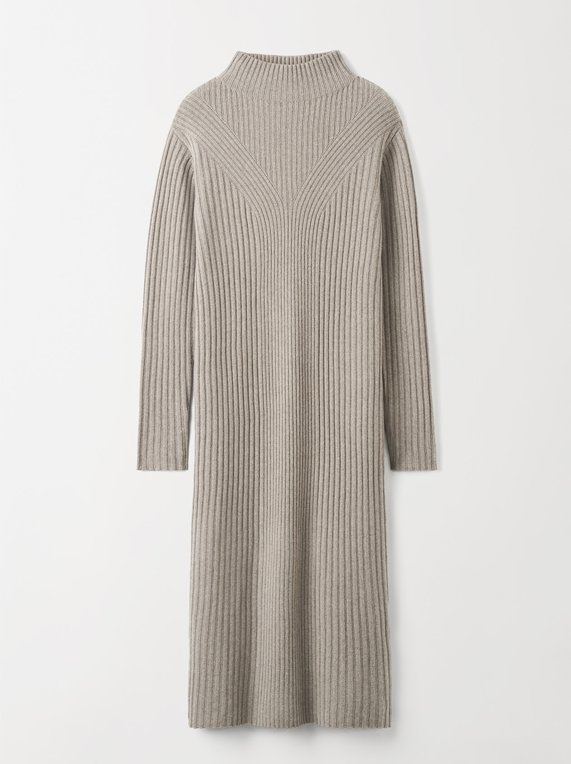 Turtleneck Dress 1