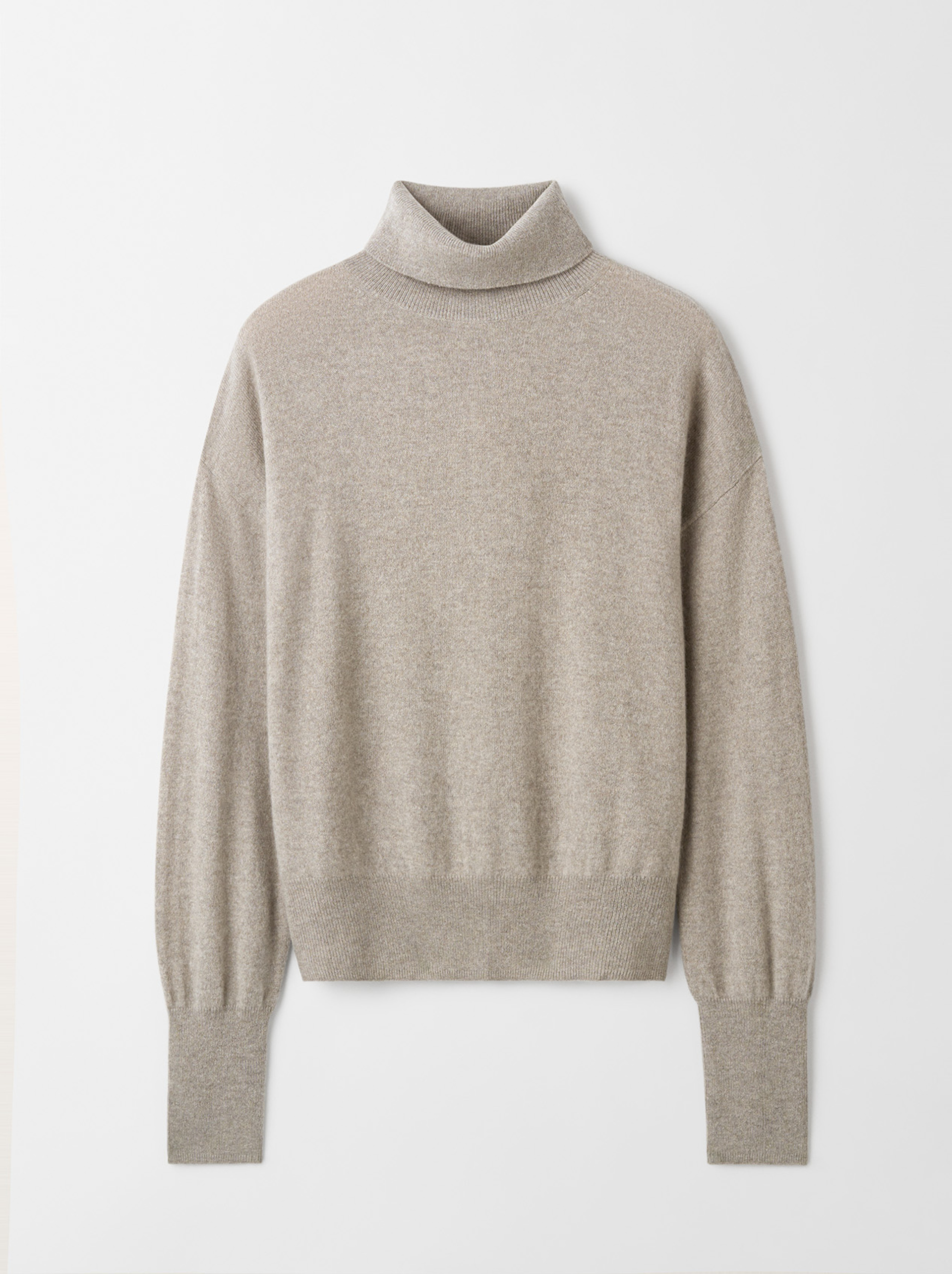 Regular fit turtleneck 1
