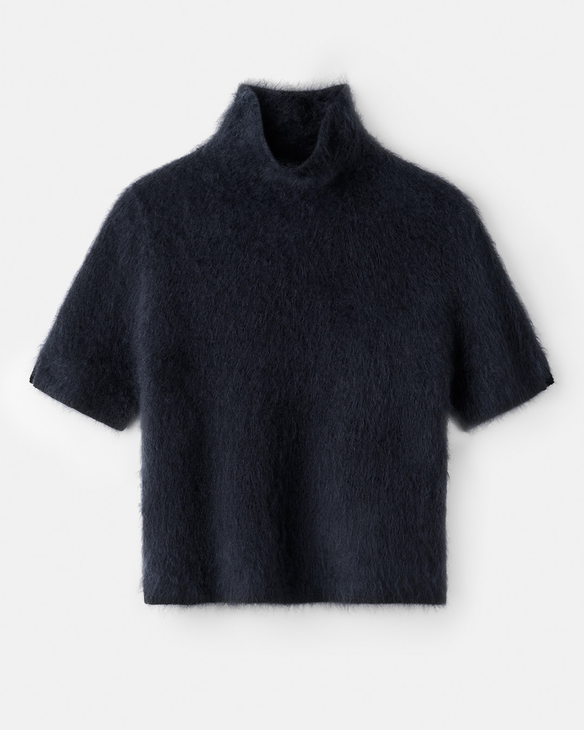 Brushed Short Sleeve Turtleneck 1