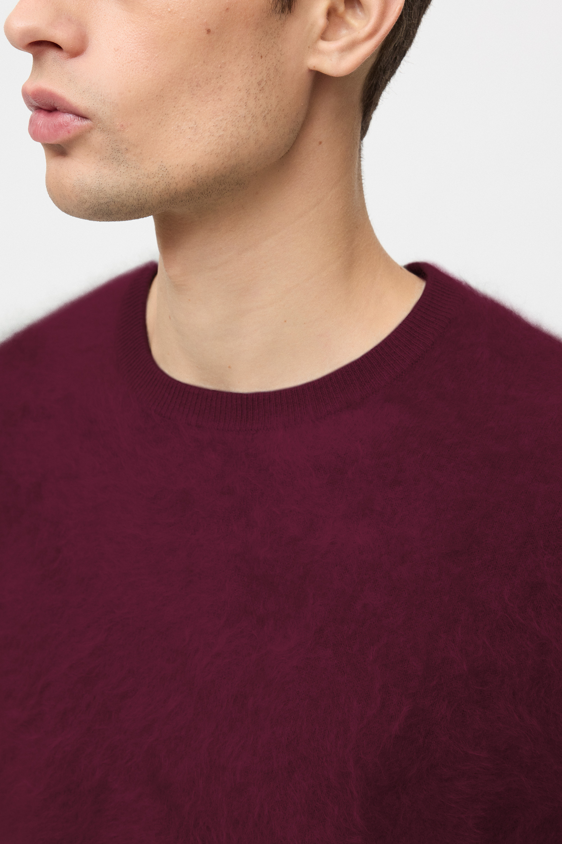 Men's brushed crewneck 4